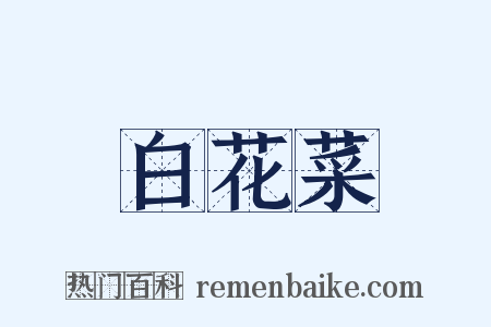 白花菜是什么意思的图片